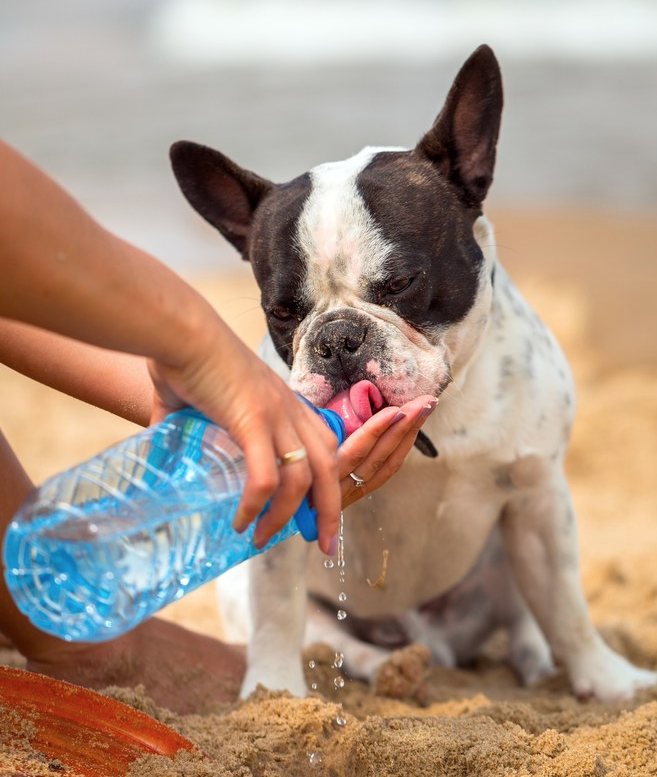 Depositphotos_47750213_m-2015