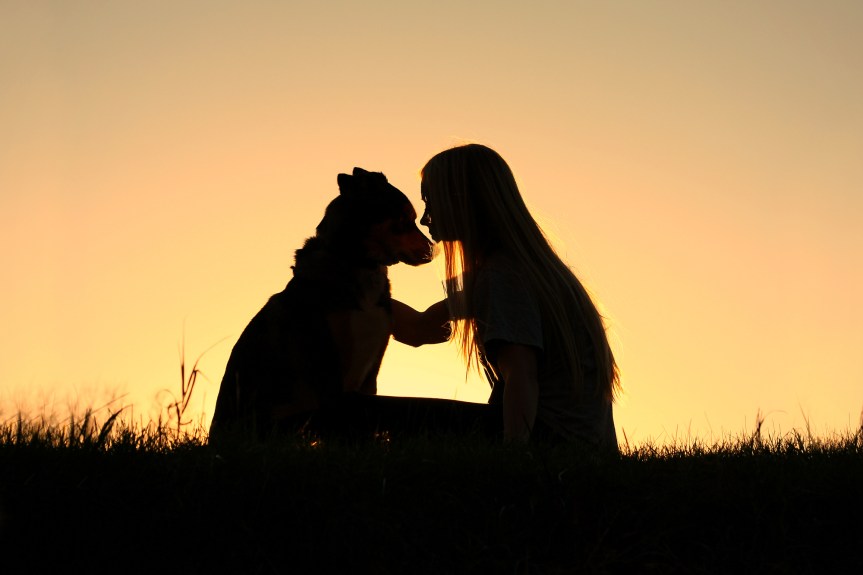 Woman Hugging Dog Silhouette