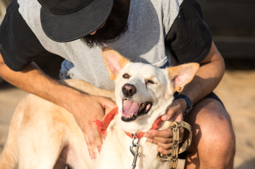 Dog and a person out for a walk.