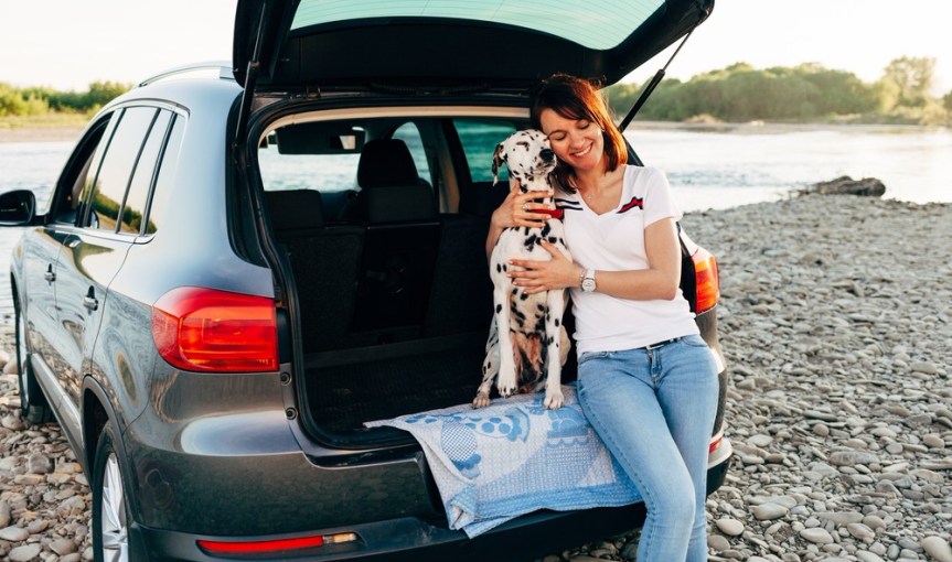 5 Tips for Smooth Sailing When Traveling in the Car With Your&nbsp;Canine