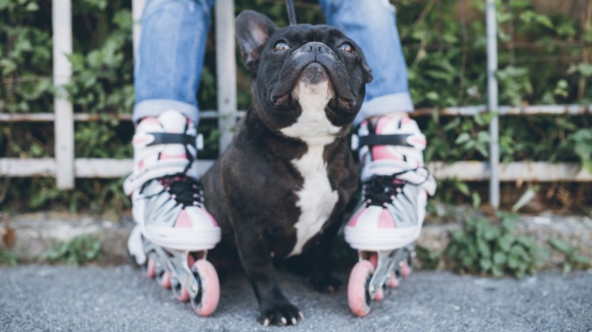 Depositphotos_202413624_m-2015